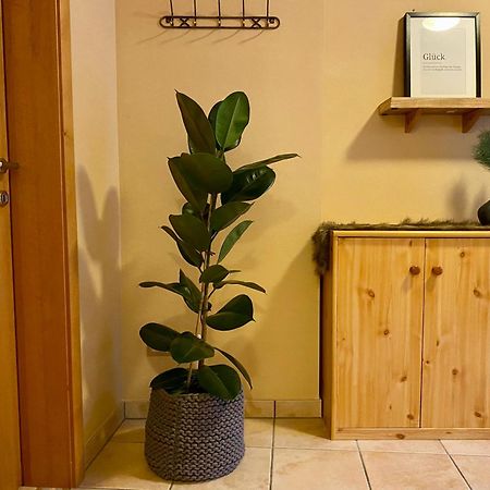 Appartement Auwald Forstau  Dış mekan fotoğraf