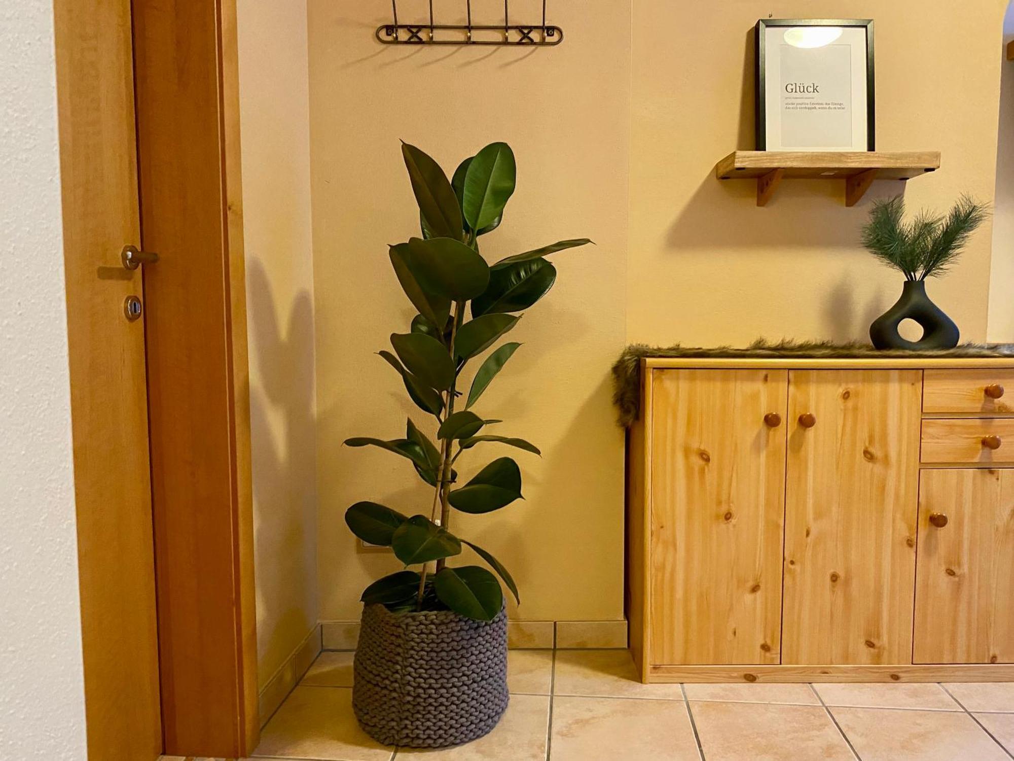 Appartement Auwald Forstau  Dış mekan fotoğraf